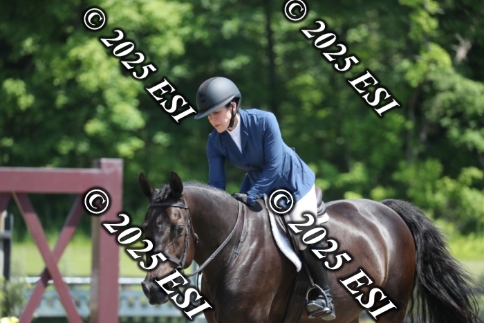 005RWCL0387