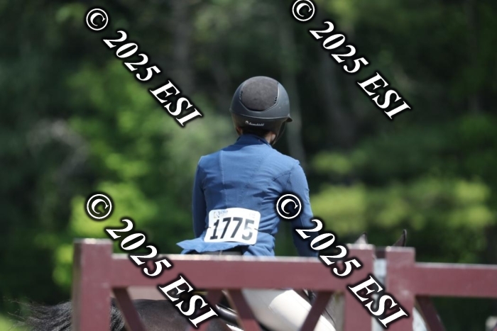 005RWCL0393