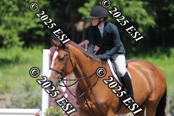 005RWCL0431
