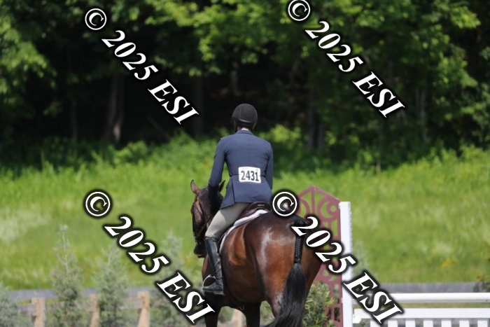 005RWCL0439