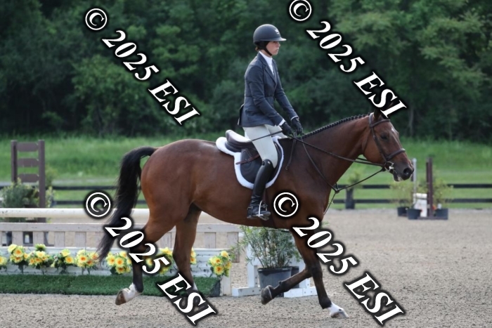 005RWCL9827