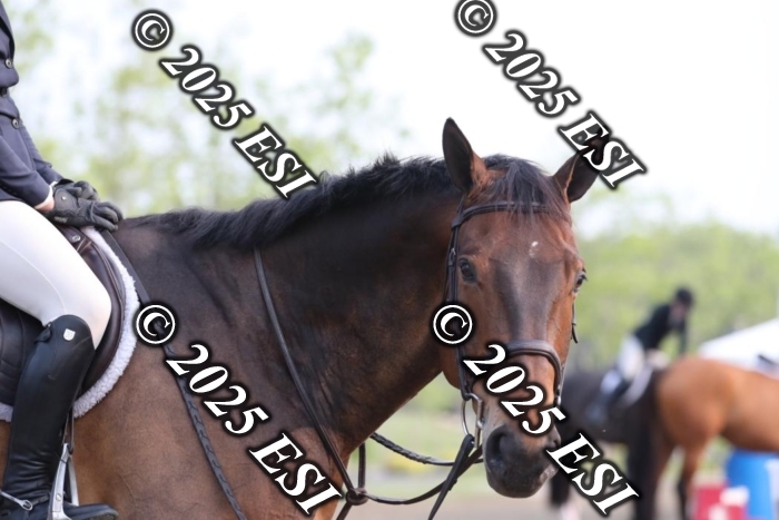 005RWCL9829