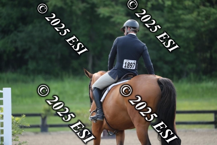 005RWCL9866