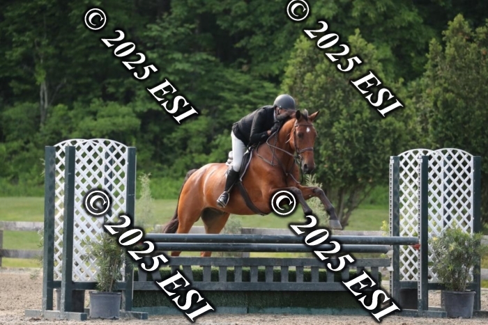 005RWCL9885