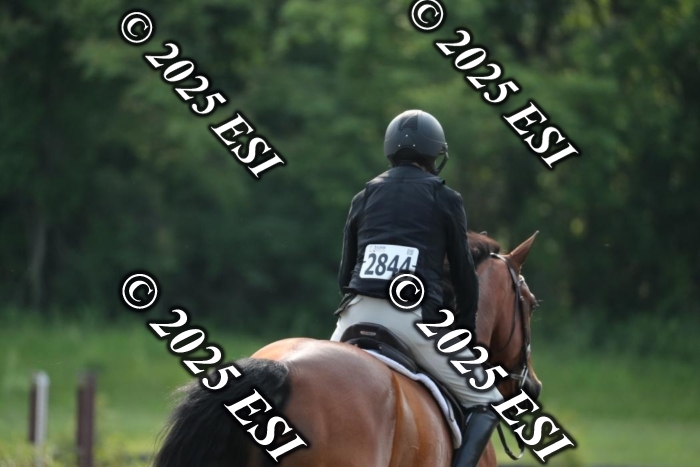 005RWCL9888