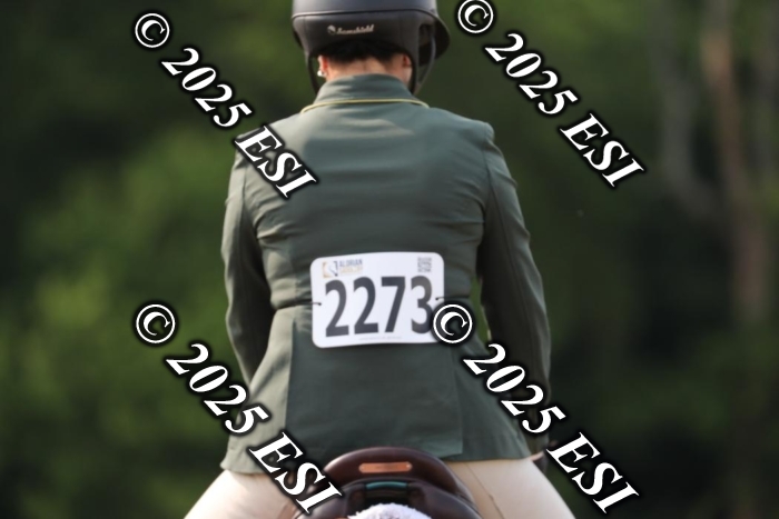 005RWCL9929