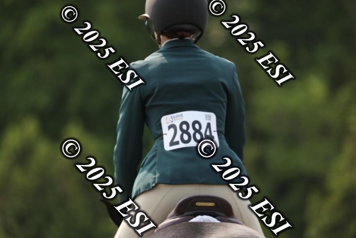 005RWCL9956