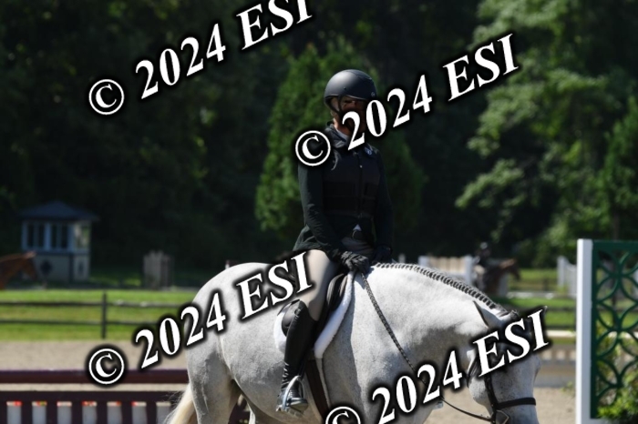 888515DK1_8547