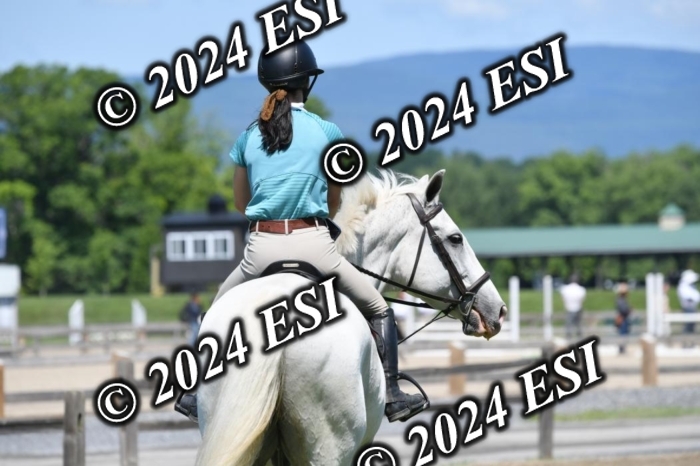 888515DK1_8604