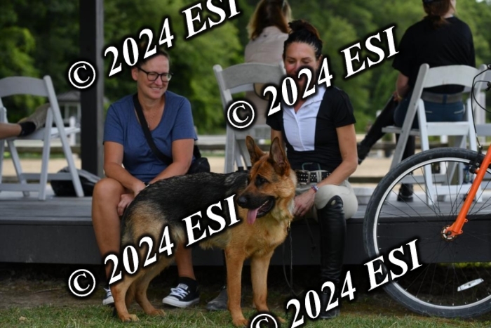 888570DK1_8688