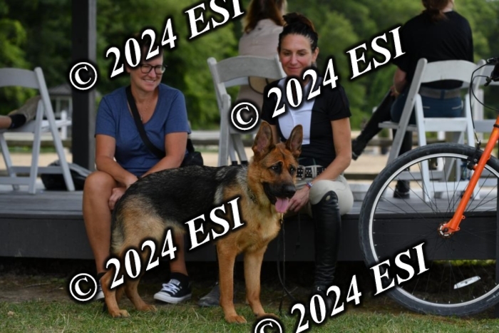 888570DK1_8689
