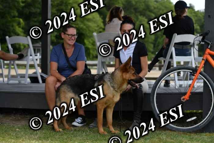 888570DK1_8690
