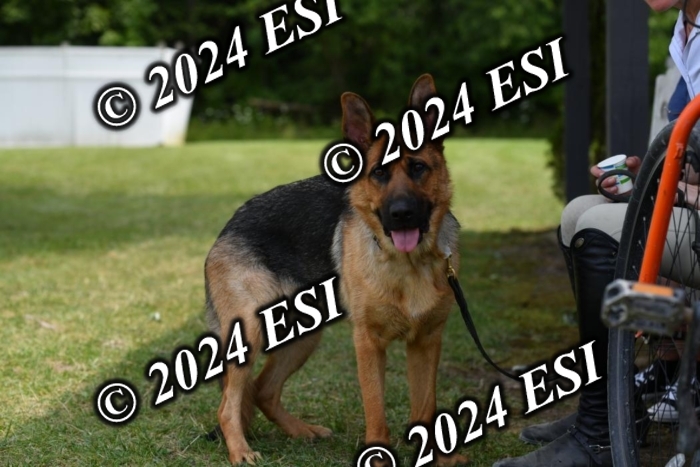 888570DK1_8691