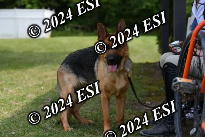 888570DK1_8692