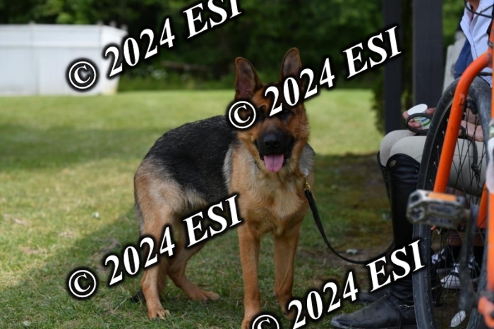 888570DK1_8693