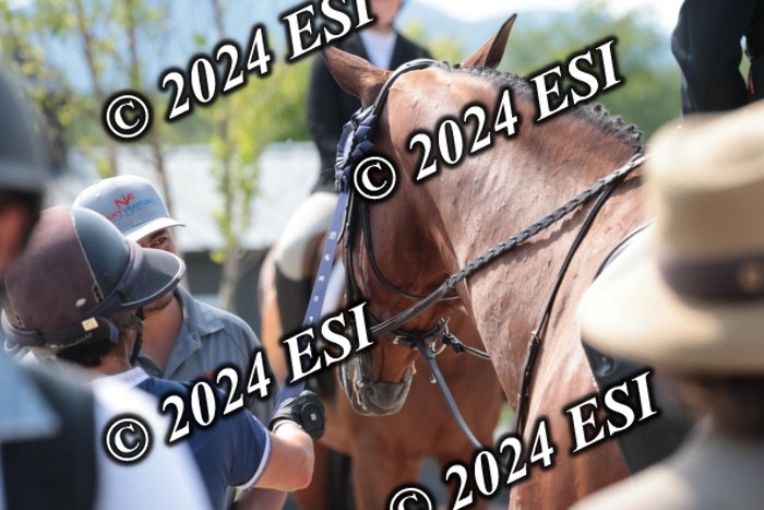 888628SC1_8549