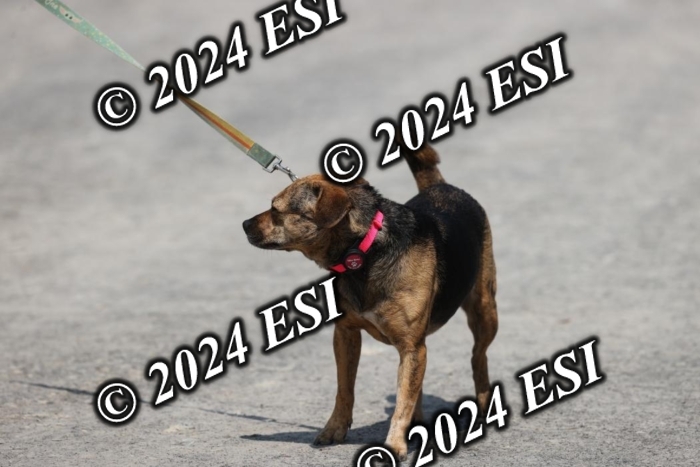 888751GAB18648
