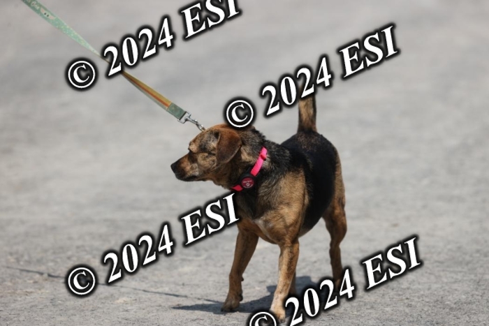 888751GAB18649