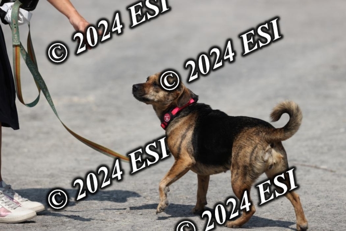888751GAB18650