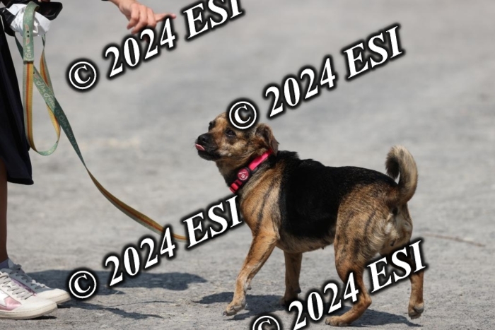 888751GAB18651