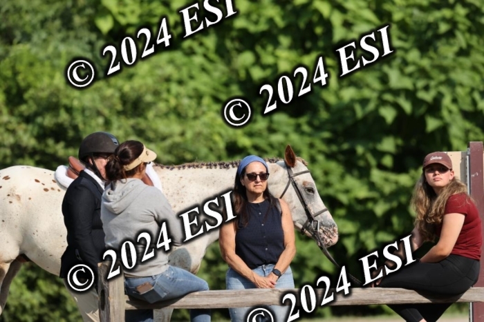 888550DI3_2818