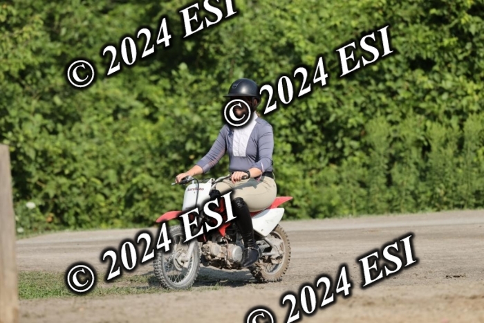 888550DI3_2828