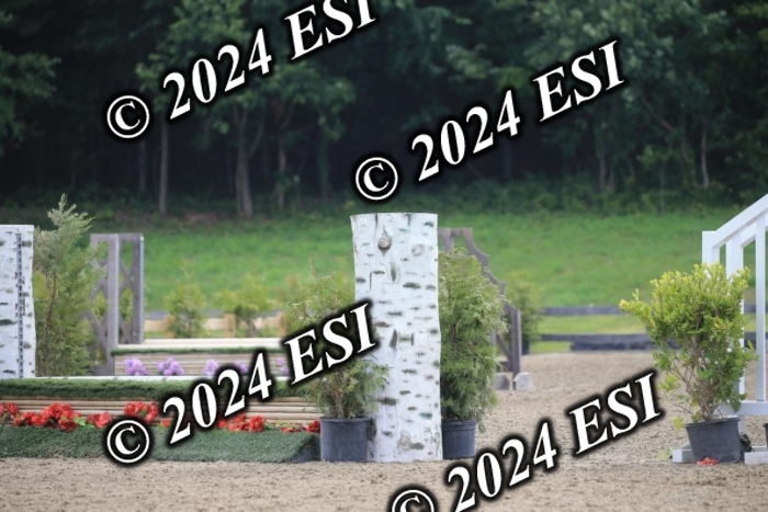 015AC2_7689