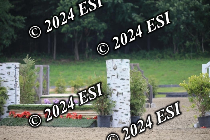 015AC2_7690
