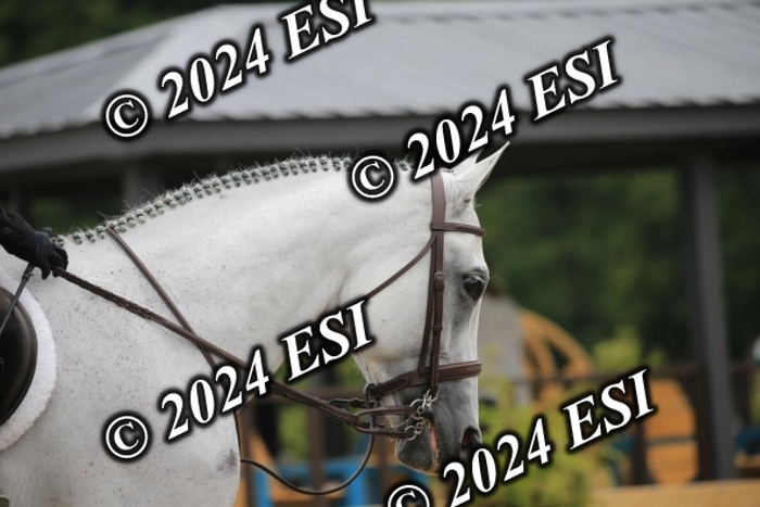 015AC2_7953