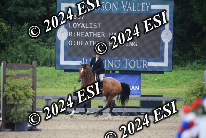 015AC2_7979