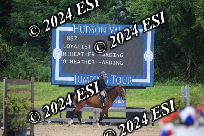 015AC2_7982