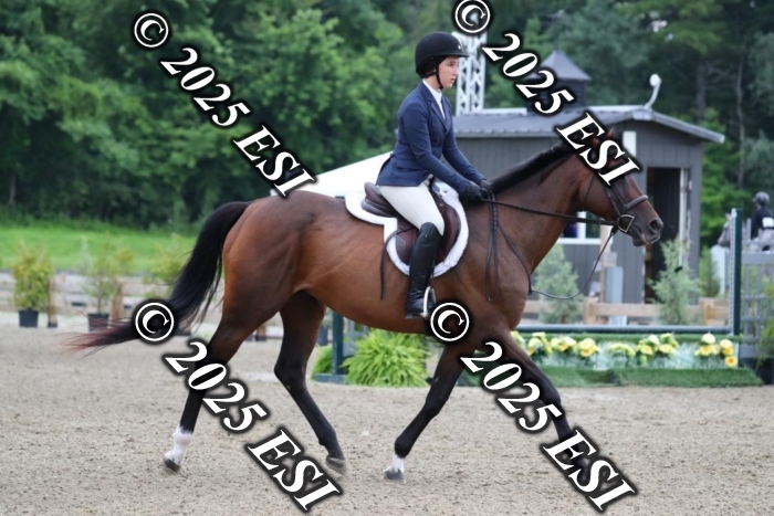 017AO5I6956