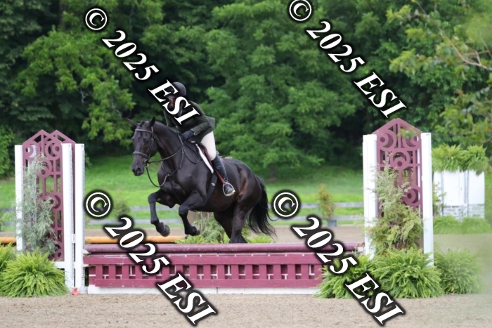 017AO5I7115