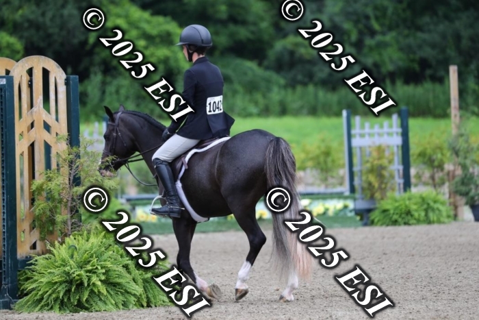 017AO5I7191