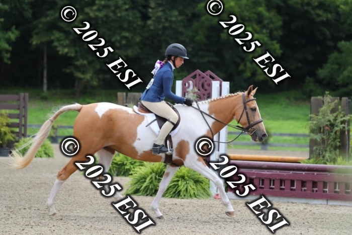 017AO5I7386