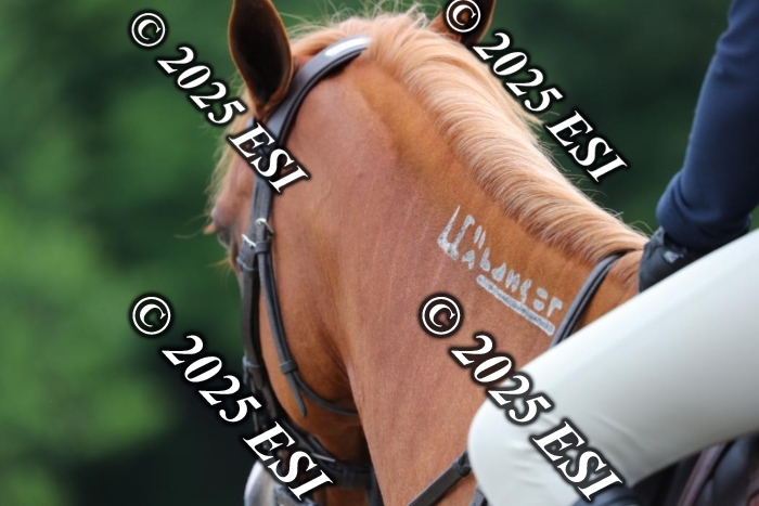 017AO5I7447