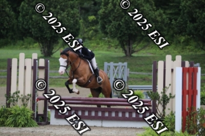 593RC_L4310