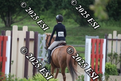 593RC_L4325