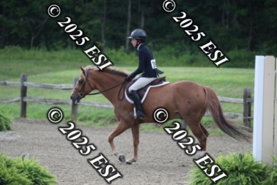 593RC_L4329