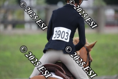593RC_L4340