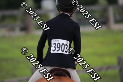 593RC_L4356