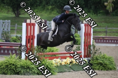 593RC_L4376