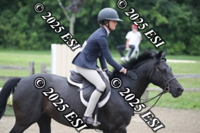 593RC_L4382