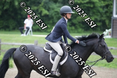 593RC_L4383