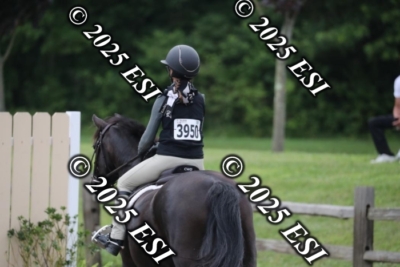 593RC_L4385