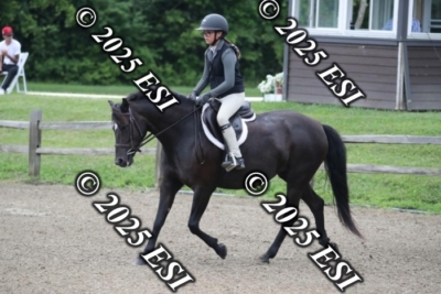 593RC_L4389