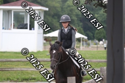 593RC_L4396