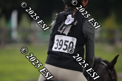 593RC_L4397
