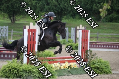 593RC_L4398