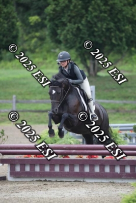 593RC_L4399